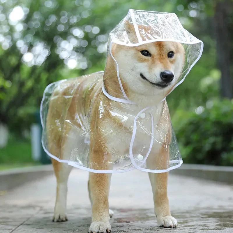 Transparenter Regenmantel für Hunde – Wasserdichte Kapuzenjacke aus weichem PVC für kleine Hunde & Welpen – Leichter Regenponcho für jedes Wetter