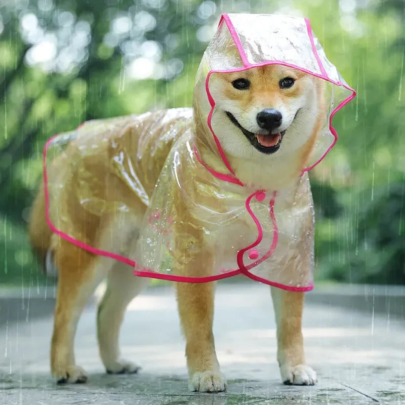 Transparenter Regenmantel für Hunde – Wasserdichte Kapuzenjacke aus weichem PVC für kleine Hunde & Welpen – Leichter Regenponcho für jedes Wetter