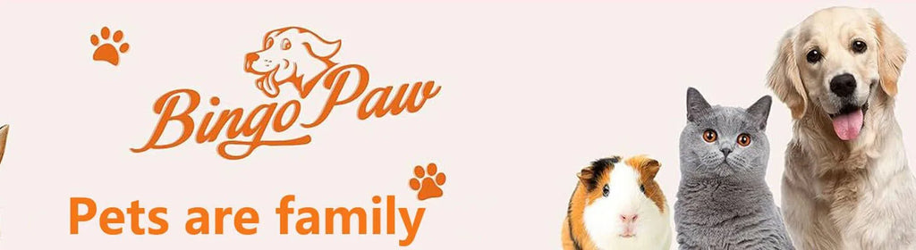 Großes orthopädisches Hundebett – Wasserdichte Hundematratze 2-in-1 mit abnehmbarem, waschbarem Bezug – Für Innen & Außen, ideal auch als Hundebox-Matte