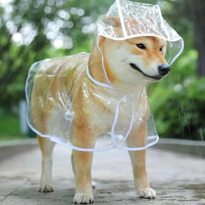 Transparenter Regenmantel für Hunde – Wasserdichte Kapuzenjacke aus weichem PVC für kleine Hunde & Welpen – Leichter Regenponcho für jedes Wetter